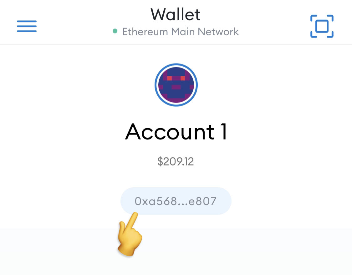 MetaMask Wallet Address Screenshot
